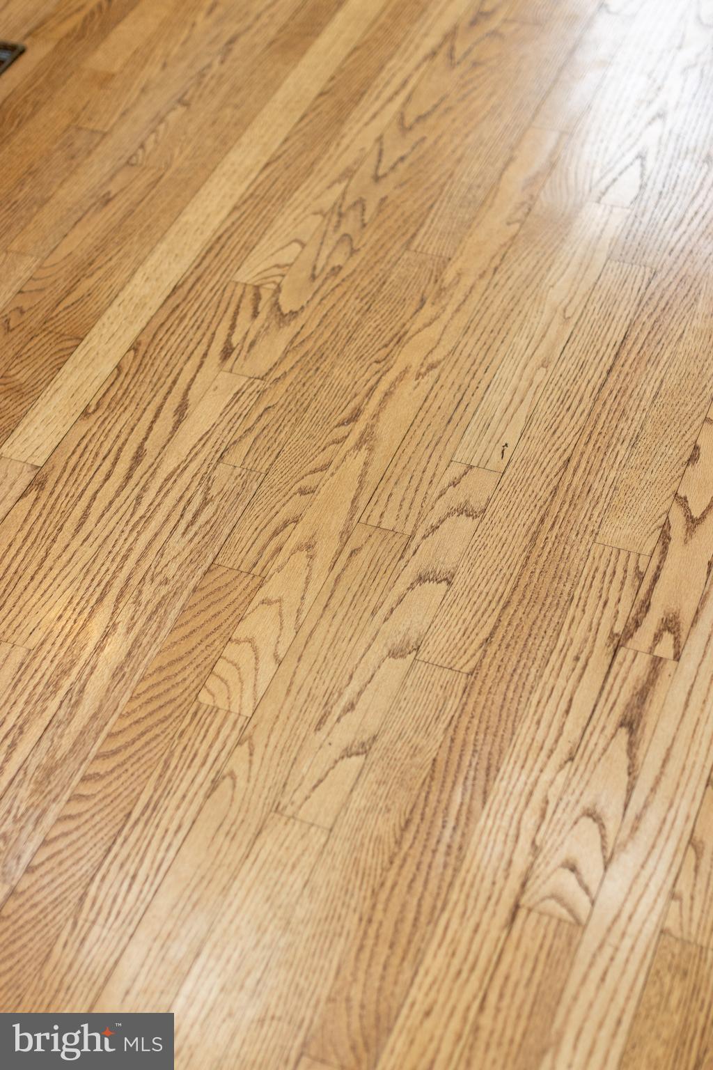 NITTANY ORCHARD - Residential