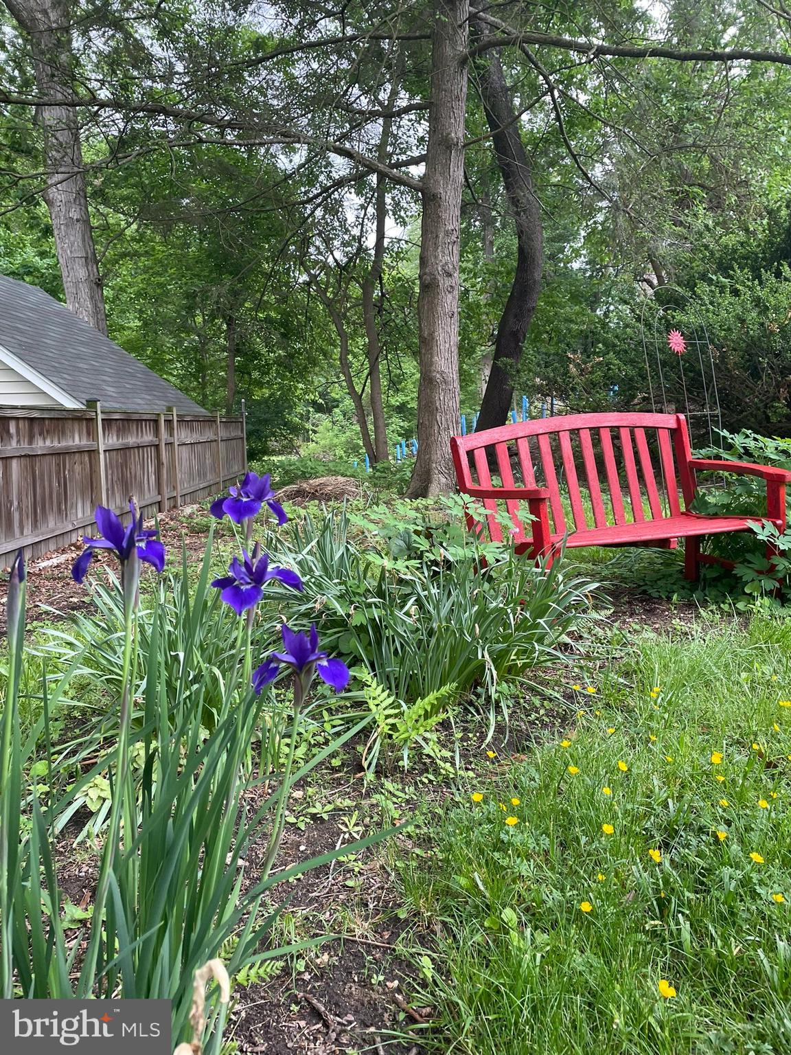 TAKOMA PARK - Residential