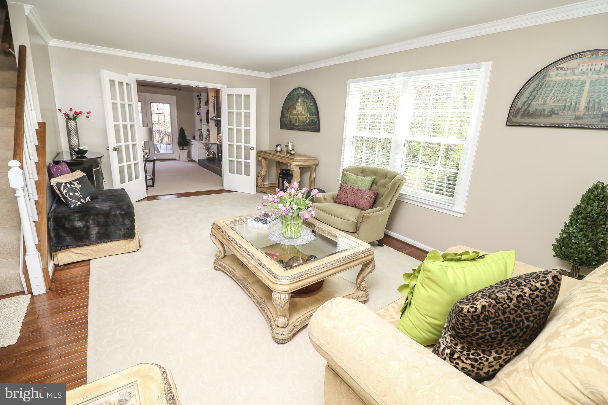 LITTLE ROCKY RUN - Residential