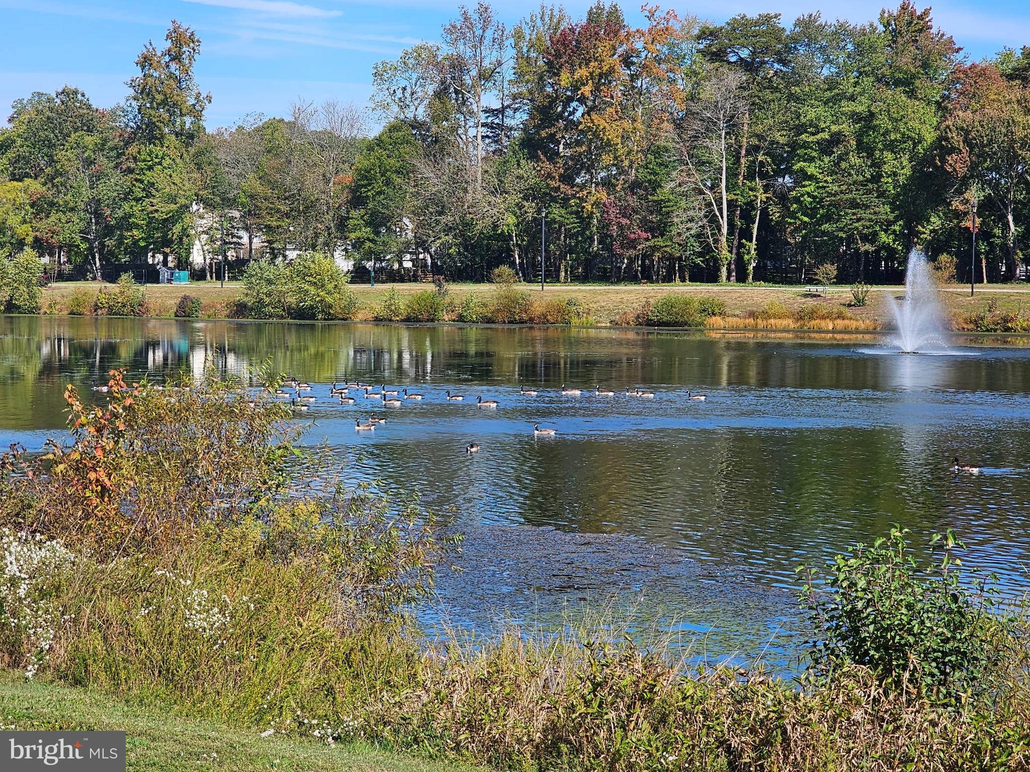 ST CHARLES HAMPSHIRE - Residential