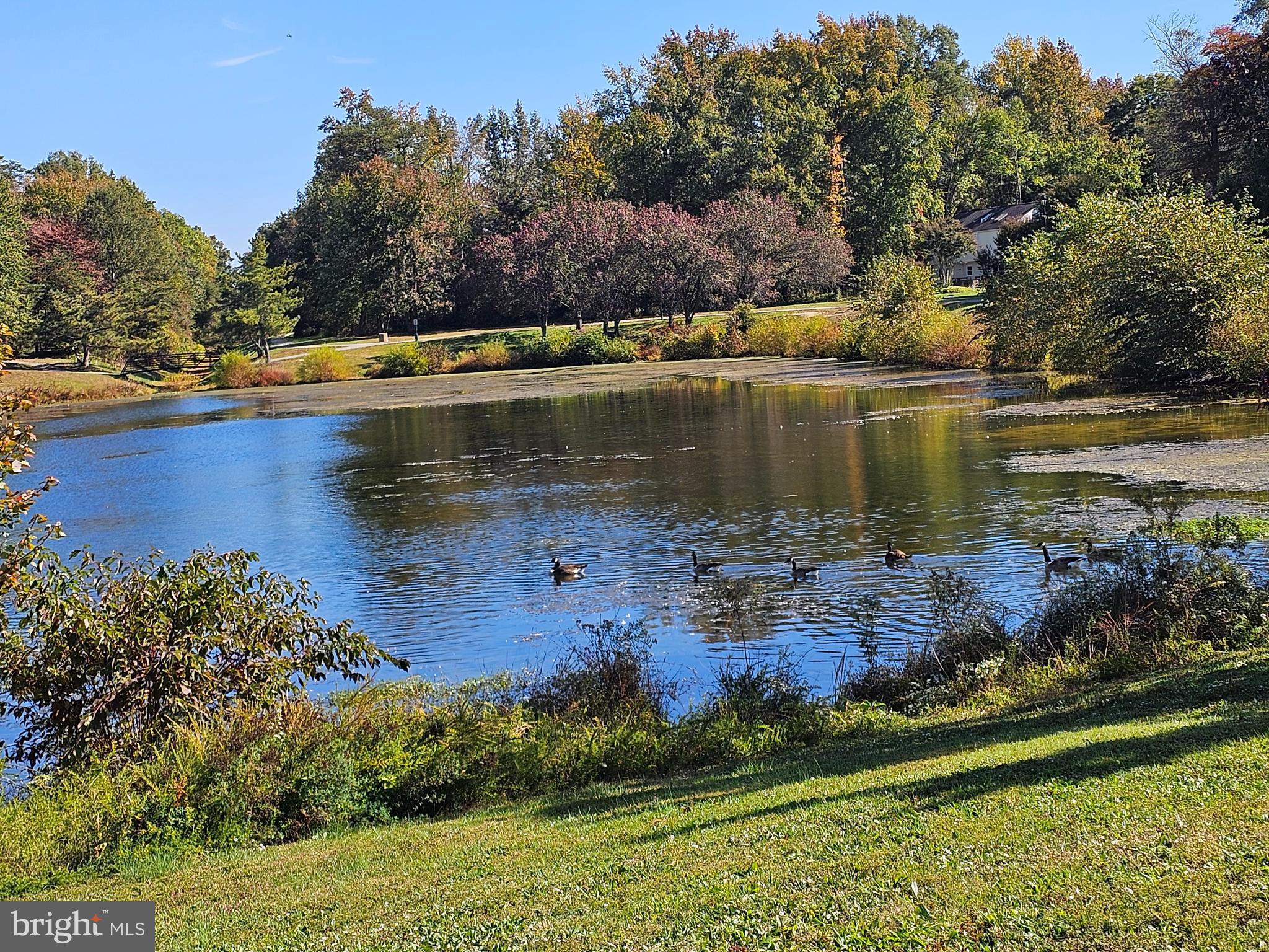 ST CHARLES HAMPSHIRE - Residential