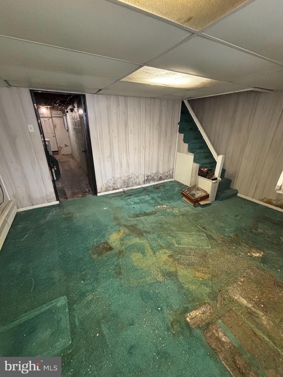 MAYFAIR - Residential