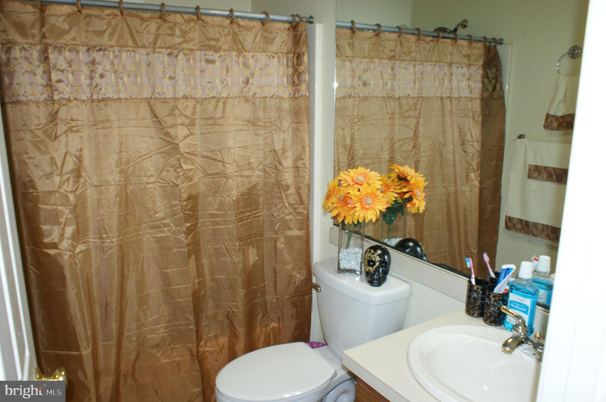 SADDLE RIDGE AT WAVERLY - Residential