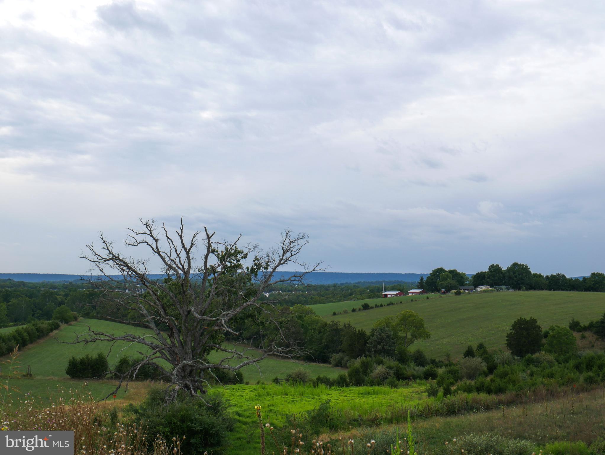 MORNING DOVE ESTATES - Residential