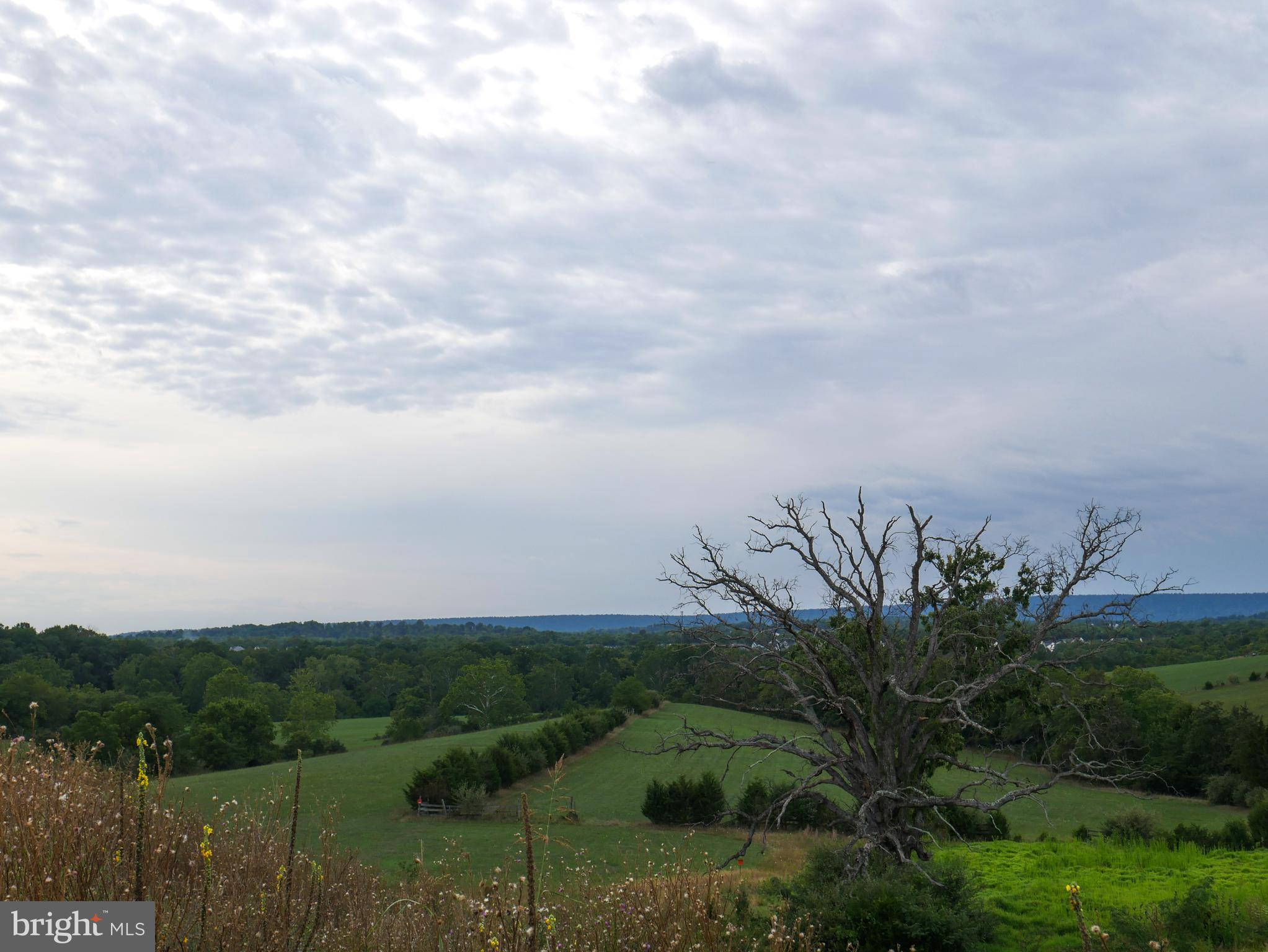 MORNING DOVE ESTATES - Residential