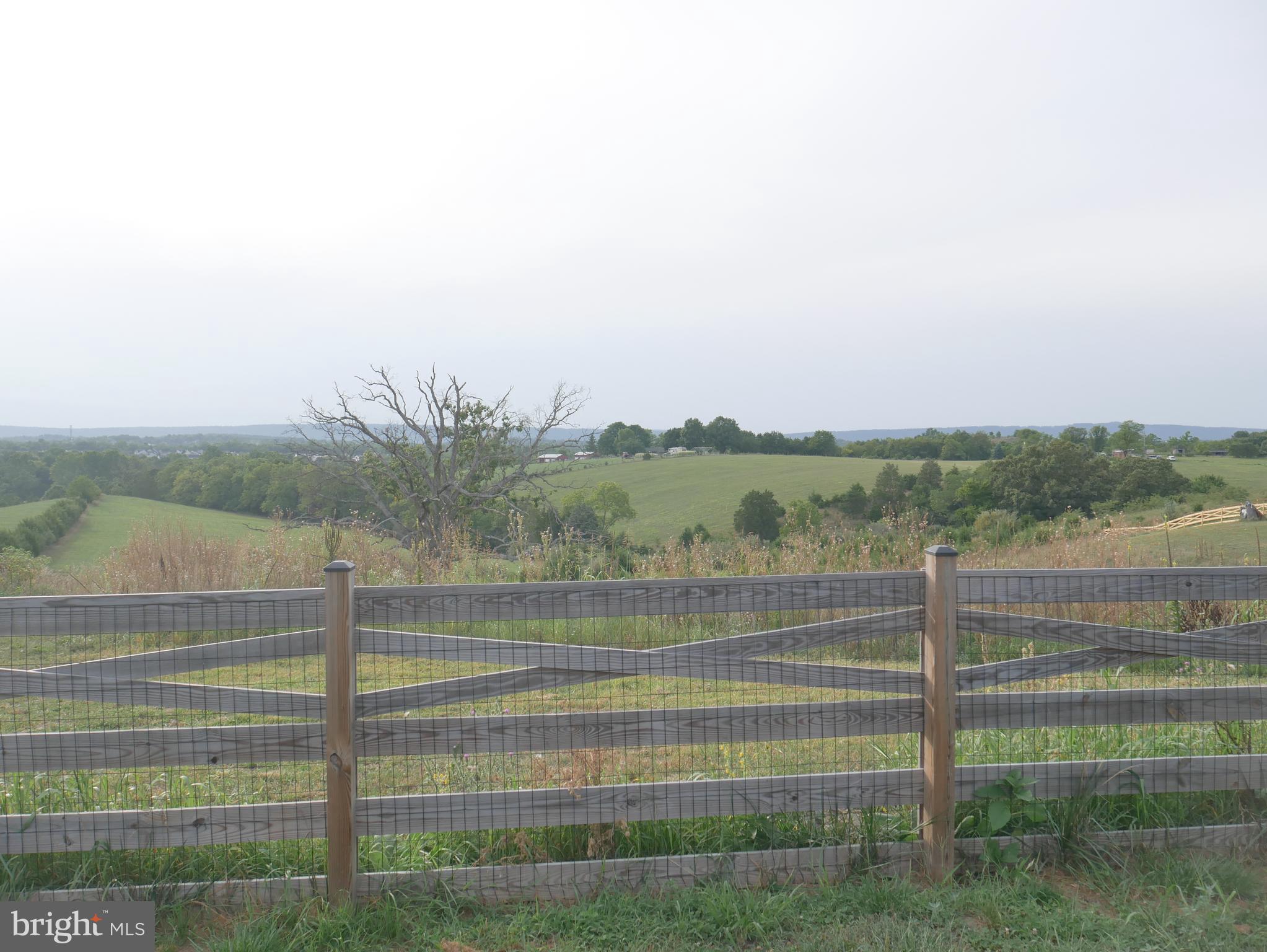 MORNING DOVE ESTATES - Residential