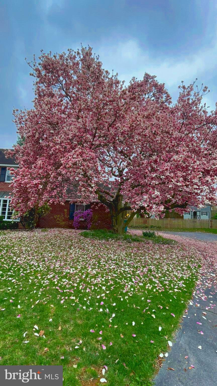 SPRING VALLEY - Residential