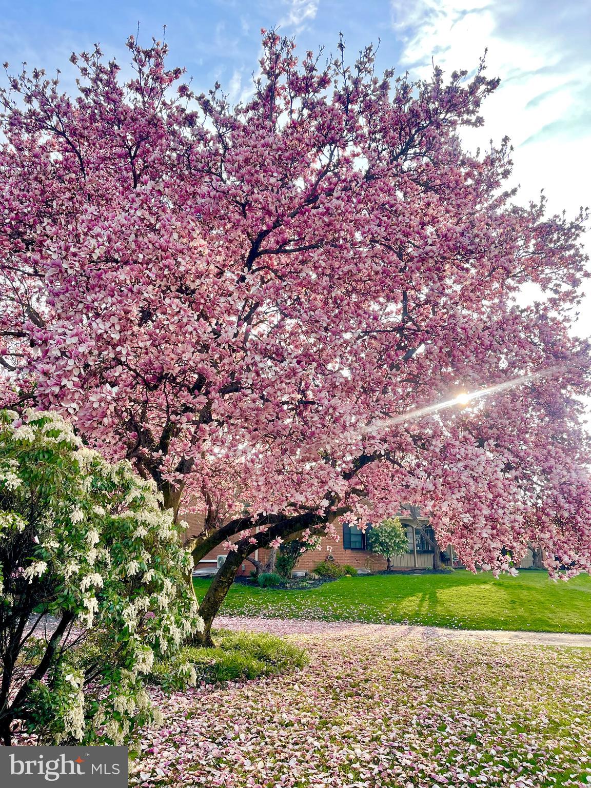 SPRING VALLEY - Residential