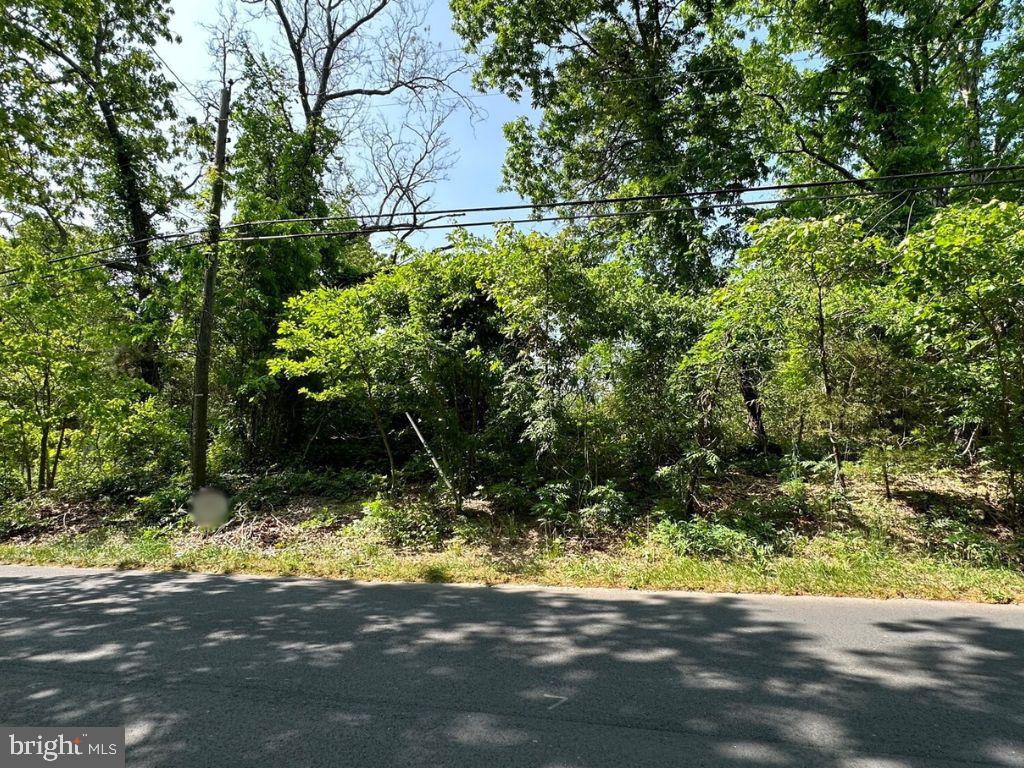 0 OLD BLACK HORSE PK