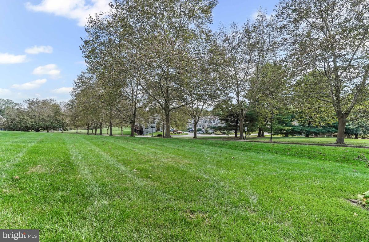 WILLISTOWN KNOLL - Residential