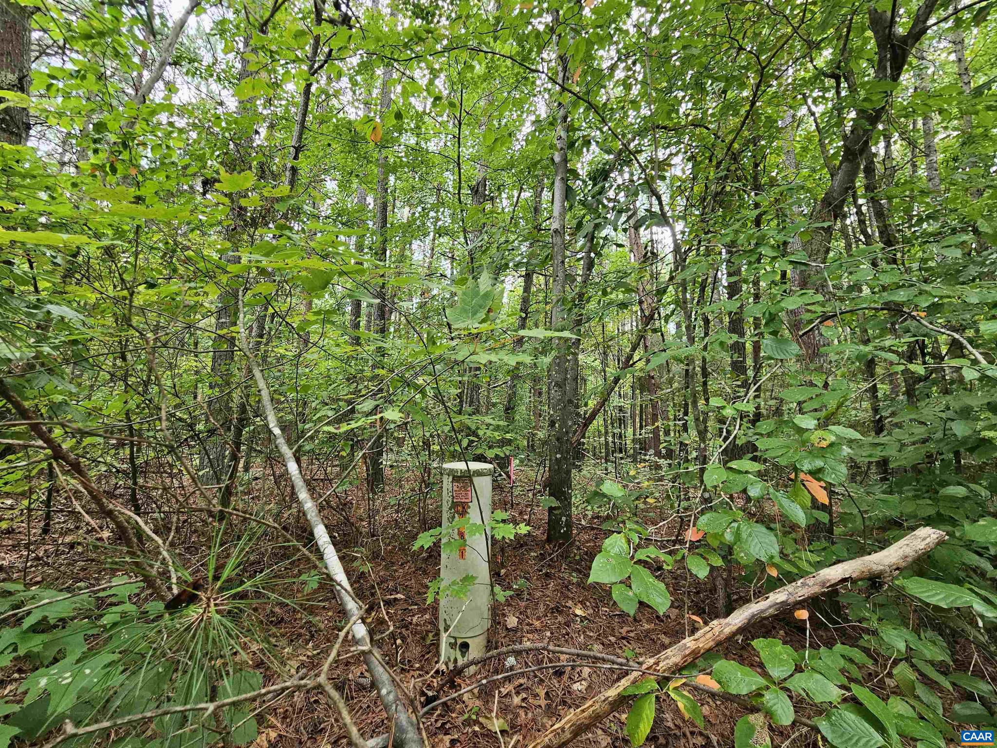 THE GROVE AT SLATE RIVER - Land