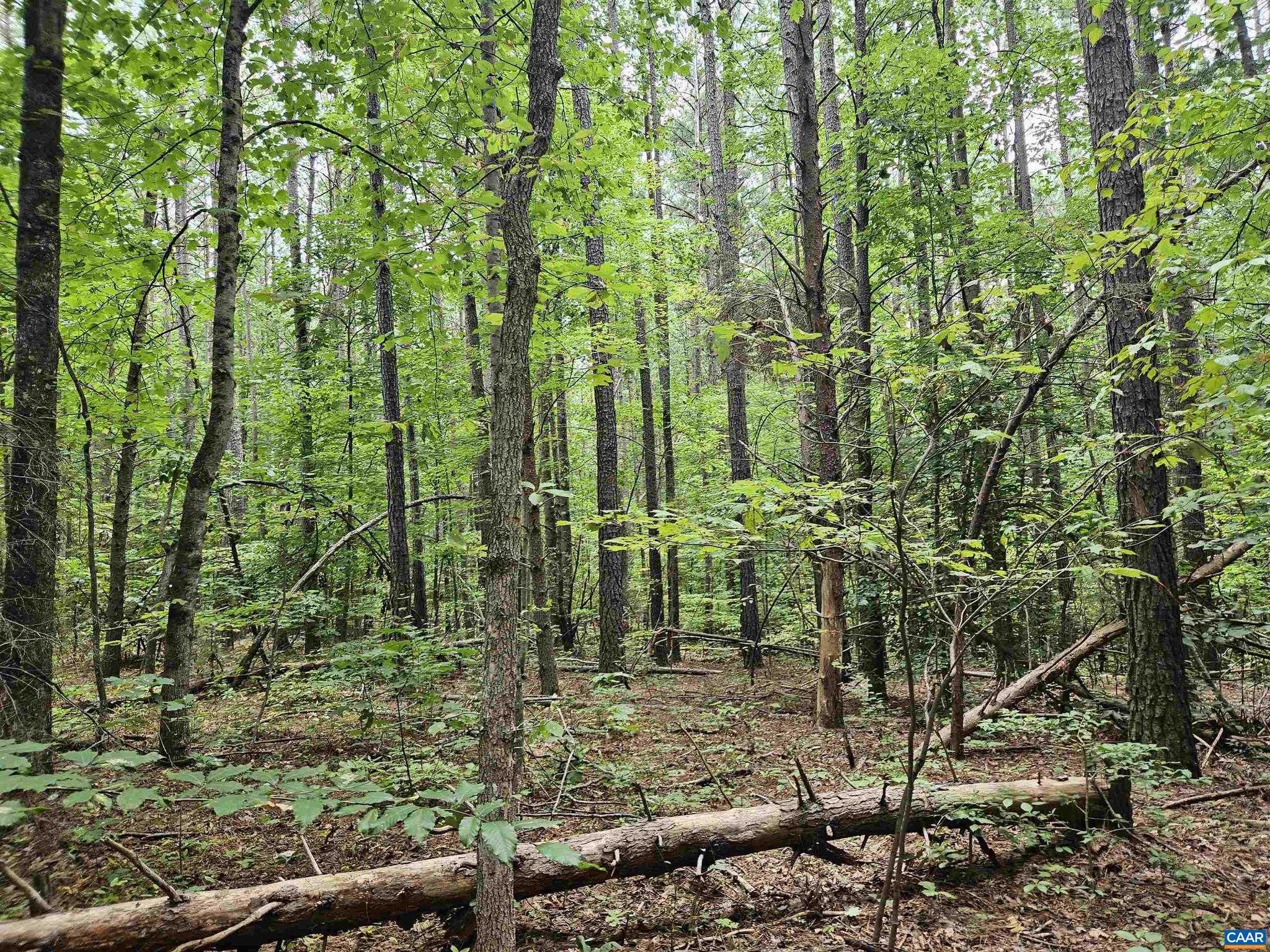 THE GROVE AT SLATE RIVER - Land