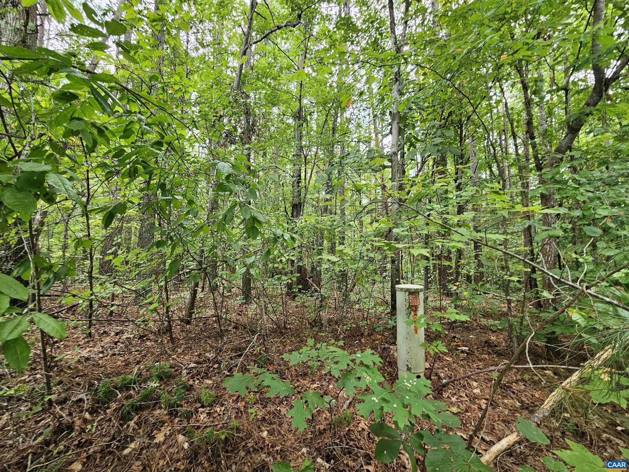 THE GROVE AT SLATE RIVER - Land