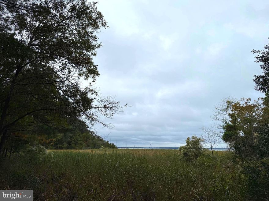 Build your dream home on this beautiful lot that fronts the Swan Point golf course to the East, has amazing sunset views over the Potomac to the West, and looks out over Weir Creek to the South! The "L shape" of the lot has a narrow area of road frontage and opens up for a home site back away from the road where views and wildlife surround you. The Swan Point community offers waterfront Olympic-sized swimming pool, marina, boat ramp, playground, clubhouse with restaurant & bar, 18-hole golf course recognized as one of the top courses in the mid-Atlantic area, driving range, lighted tennis courts, pickle ball court, nature trails, picnic areas, Potomac River front park, and more! Community activities such a book club, social club, golf clubs, yacht club, water aerobics, and more! The adjacent lot at 14975 Persimmon Ct is also for sale, providing an opportunity for a buyer to build a home on one lot and preserve a private natural oasis right next to them.