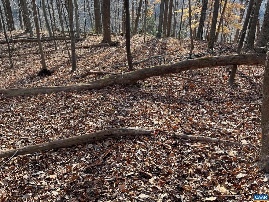 Beautiful wooded tract, approx. 15 minutes from town, beautiful Mtn Views the tract is just past 5502 Monacon Trail