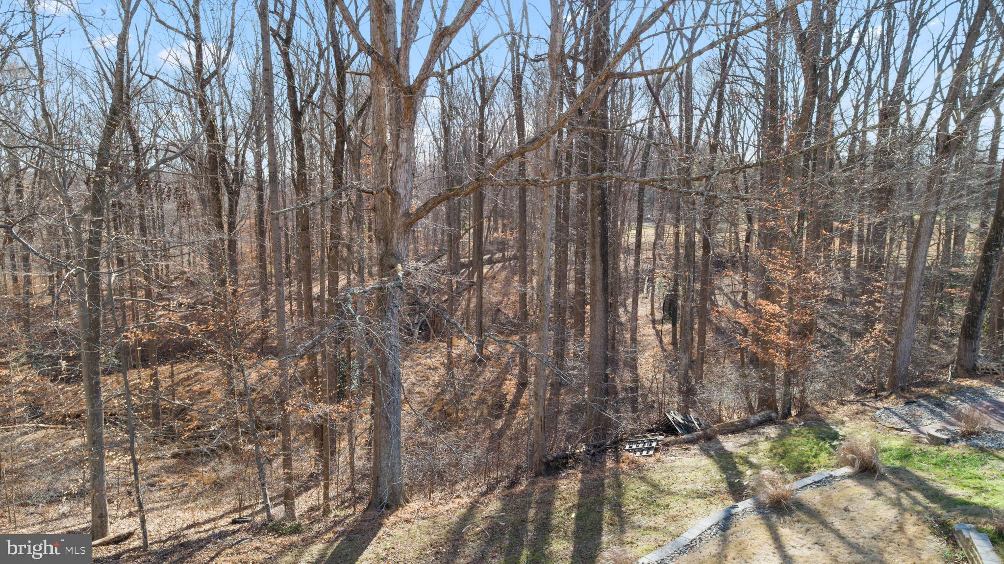 DUNKIRK WOODS - Residential