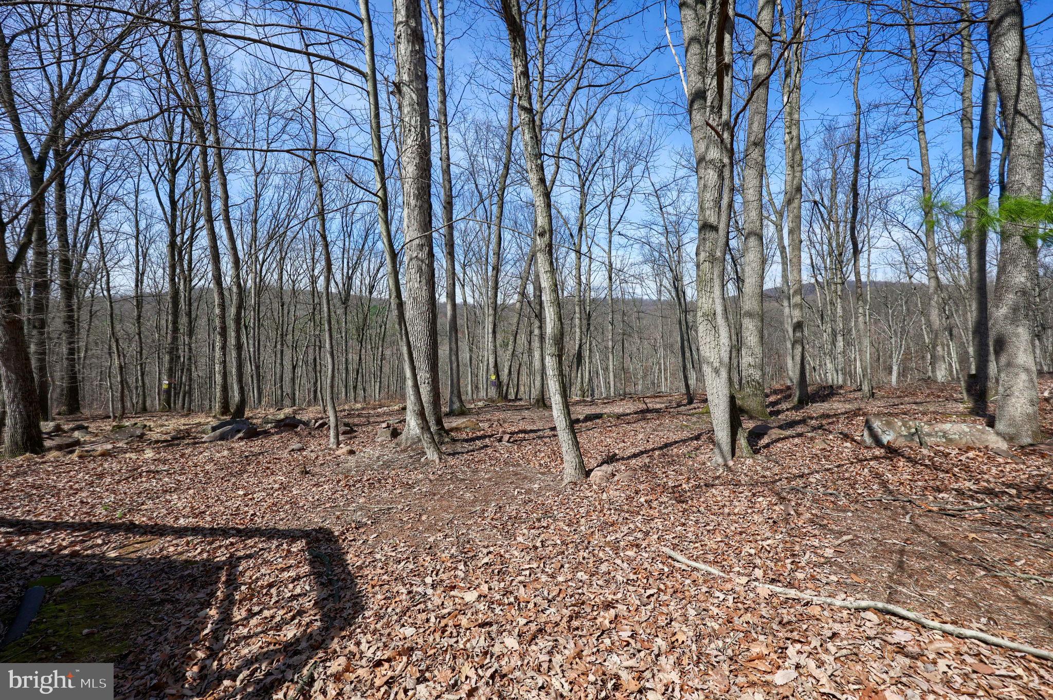 DOVER TWP - Residential