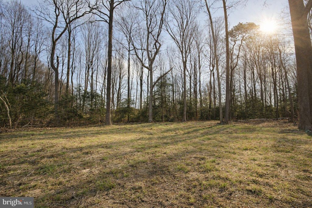 Photo of 24519 Holly Acres Ln, MILTON, DE 19968 (MLS # DESU2106456)