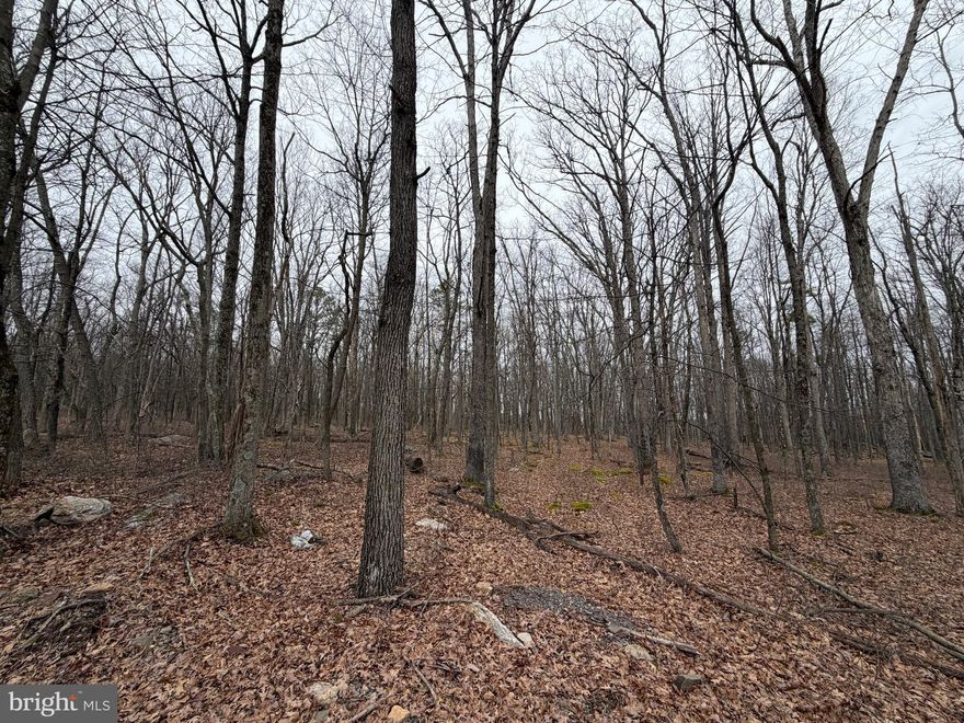 This is it!  Location, Location, Location!  Ready and waiting for you is a little piece of heaven with this .6-acre building lot in the Cove Village Association.  Clear the rear of the lot for possible mountain and valley views. This is one of the last remaining lots on the sought after ridge side of Haystack Dr.  Even better is the adjoining lot at 518 is also available for purchase.  Seller wishes to sell 518 & 519 together.  You can have a spacious 1.2 acre level building lot!  Situated in the foothills of the Poconos and only 1 1/2 hours to New York this could be where you build your getaway or your forever home.  With easy access to I-81 your commute to Hazleton, Wilkes Barre, or Scranton is a breeze.  Bring your own builder and let's make your dreams come true.   Your building costs are lower here since public water and sewer are already in place ready for you to connect through Aqua of Pa.  Do you desire a cabin or home where you can hunt, fish, ATV, snowmobile, and more?  How does approximately 750 acres of unoccupied prime hunting, ATV, and snowmobile riding land, sound to you?  Yes, that's right!  Adjoining the residential portion of Cove Village is just that for residents of the community and their guests!  Driving through the community, the peace and tranquility will envelop you.  The homes vary from rustic cabins, chalets, traditional ranch, two-story homes, exquisite new construction, and even dreamy mountain log homes.  There really is something for everyone.  The approximately 278 acres of residential homes and lots are occupied by full-time residents, part-time vacation homes, and even some snowbird second homes.  Cove Village is located in the mountains of Northeastern Pennsylvania and offers an abundance of amenities including a swimming pool, stocked fishing lake, a basketball court, tennis courts, a volleyball court, 2 playgrounds, a baseball field, ATV paths, hunting, a mini golf course, walking paths, and year-round Community events.  I can't forget to mention the beautiful lodge ideal to rent for family gatherings.   This lot and community just might be exactly what you've been looking for.  Air B and B are not permitted. Camping on vacant lots is not permitted.  Mobile homes are not permitted.  The minimum square footage when building is 1400 square feet.  The community maintains the roads and snow removal.  Trash collection is also provided.   An appointment is required to view due to the gated community.  Call to schedule your tour today!