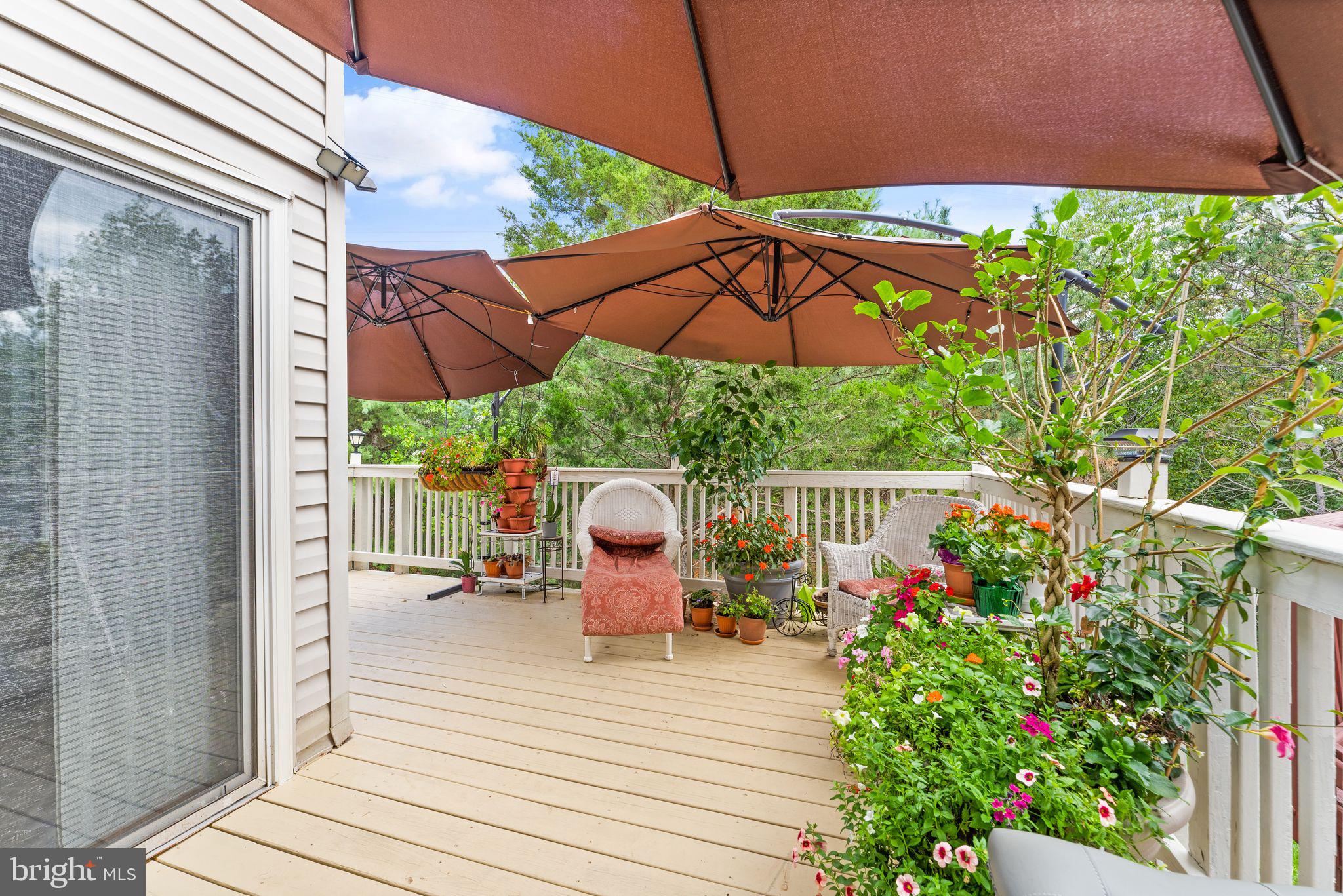 ASHBURN VILLAGE - Residential