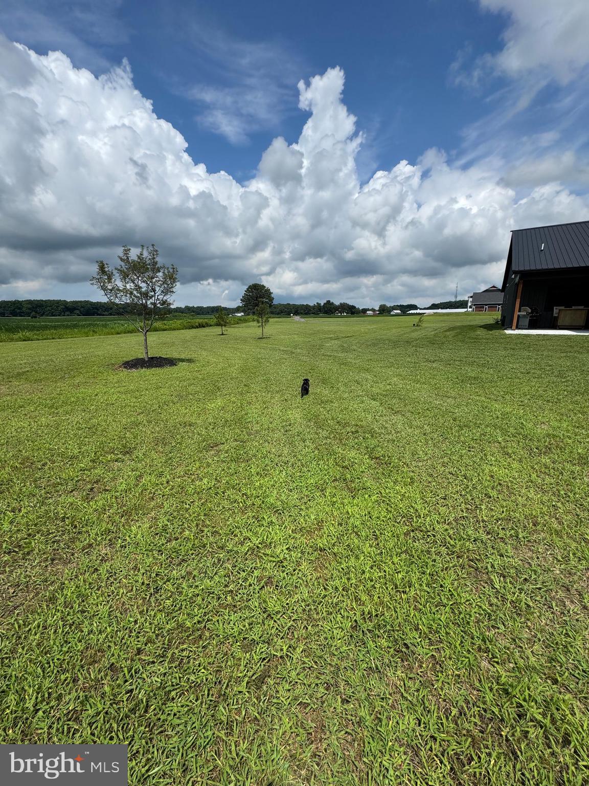 26067 GOLDSBORO ROAD