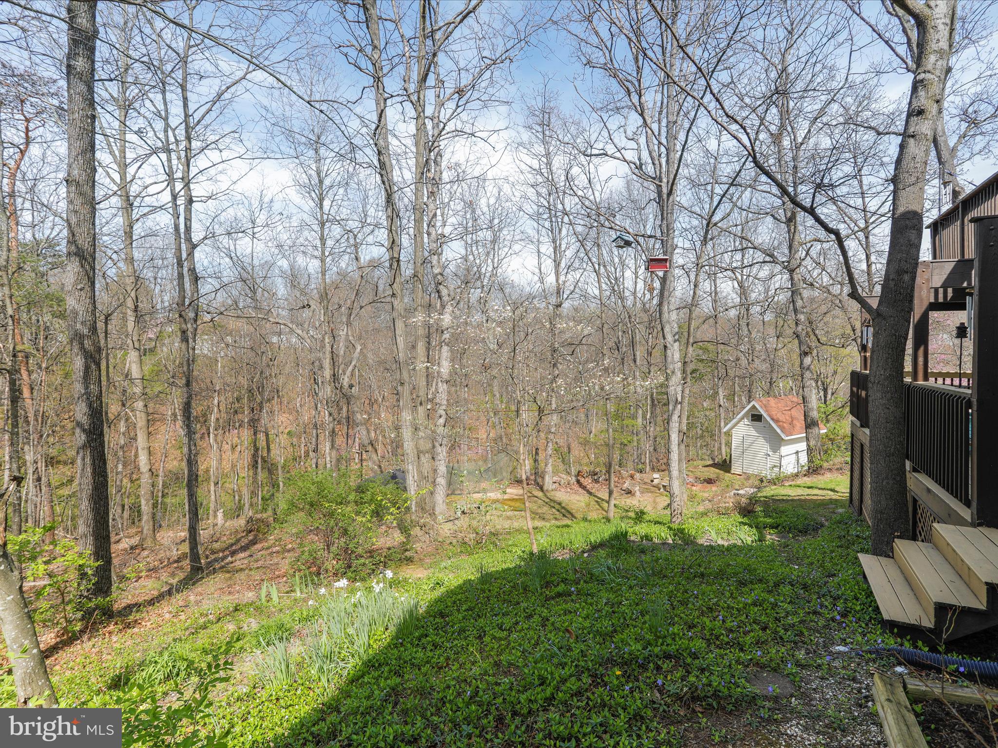 CARLISLE HEIGHTS - Residential