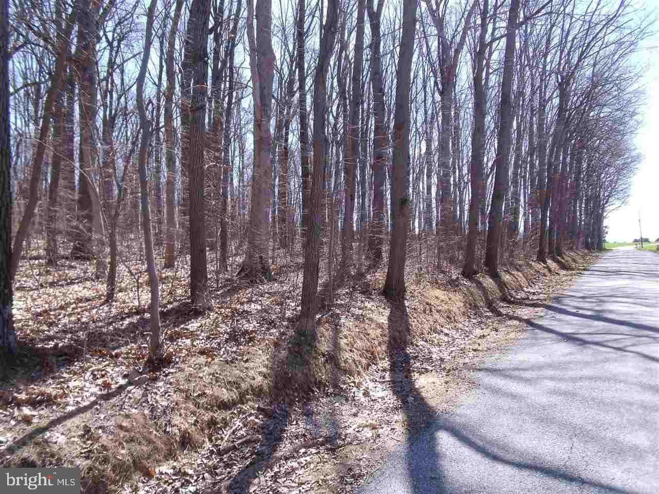 ZEIGLER CHURCH - Land