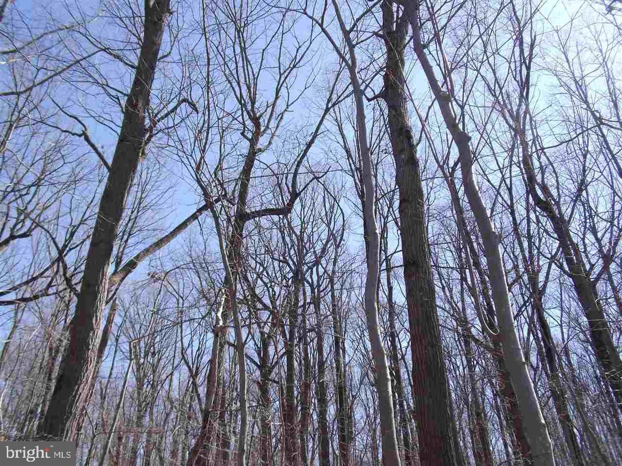 ZEIGLER CHURCH - Land