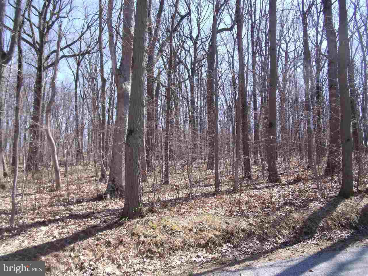 ZEIGLER CHURCH - Land