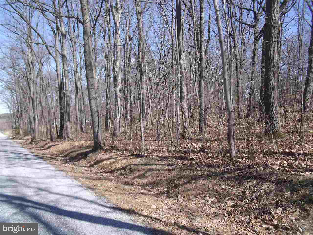 ZEIGLER CHURCH - Land