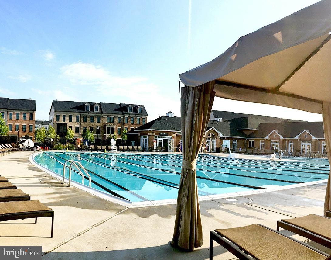 DOWNTOWN BRAMBLETON - Residential Lease