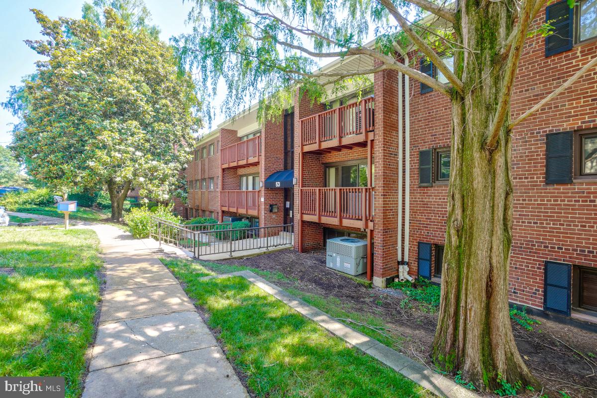 53 SKYHILL ROAD 204