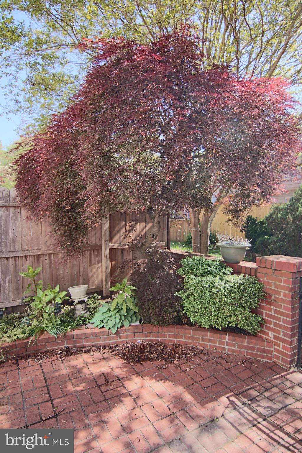 GEORGETOWN HOUSES - Residential