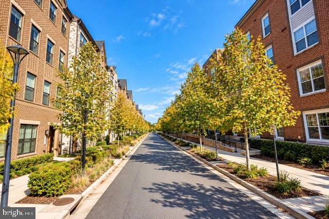 20833 SILVER HAND TERRACE