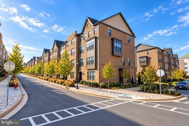 20833 SILVER HAND TERRACE