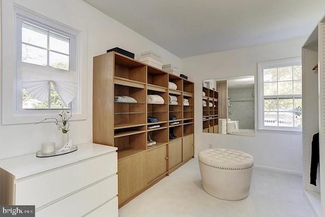 WILELINOR ESTATES - Residential