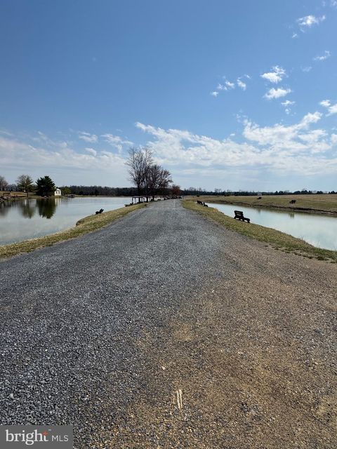 listing image 62