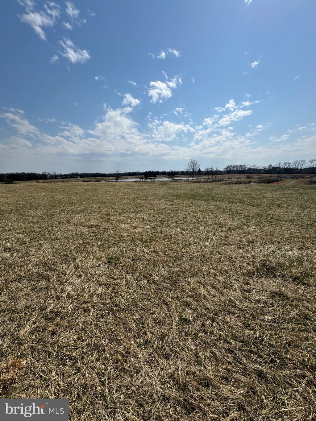 listing image 65