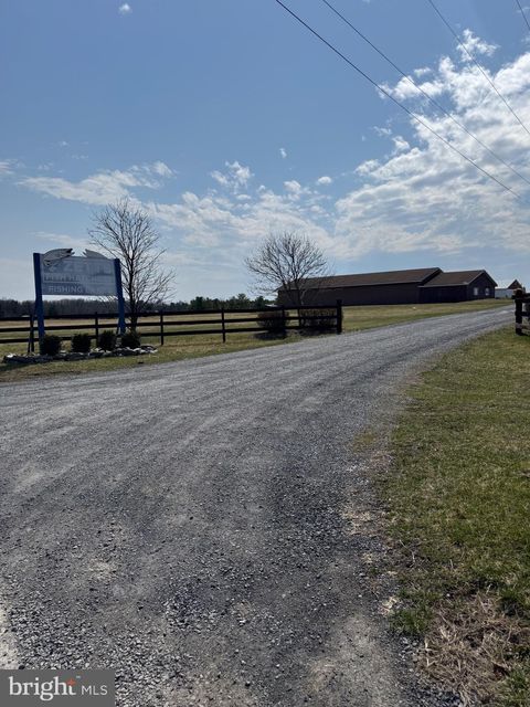 listing image 110