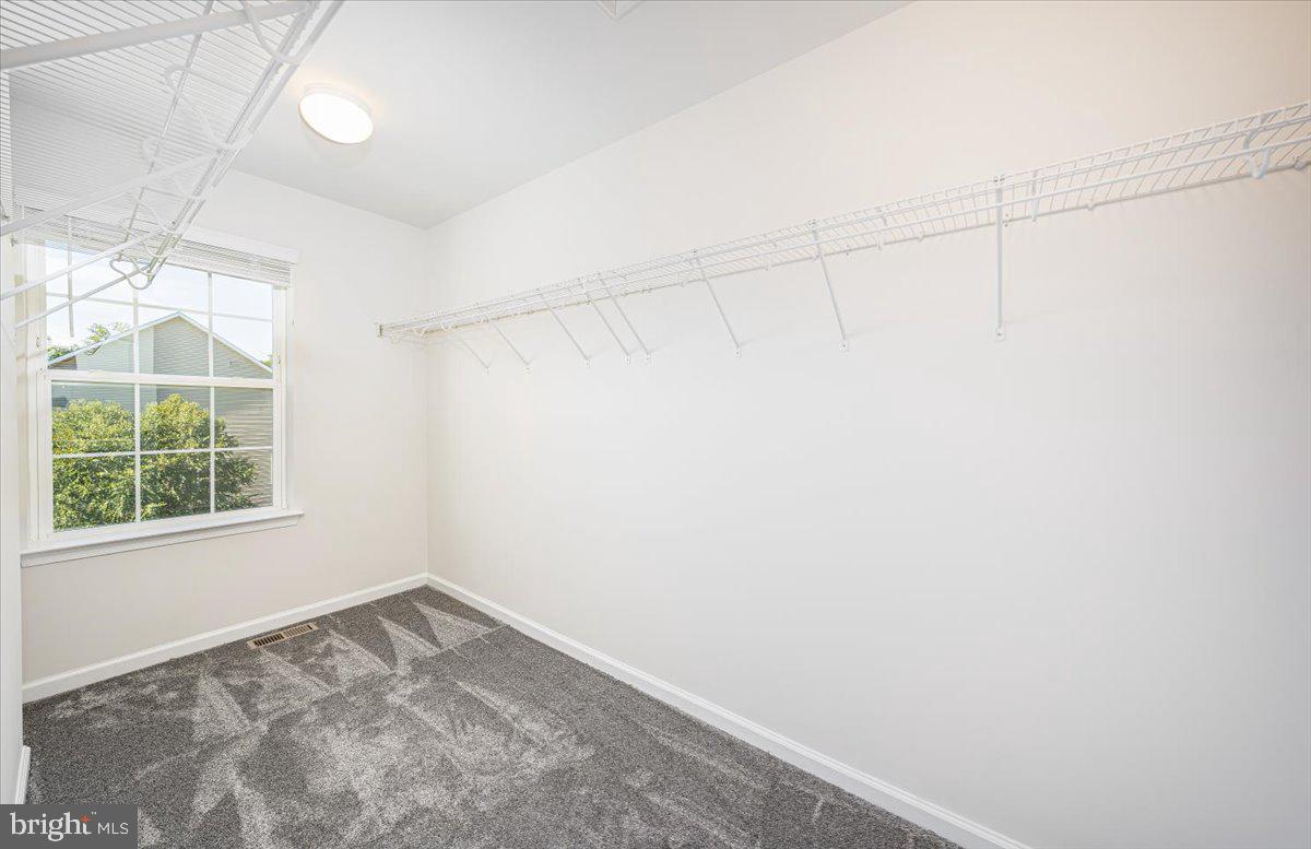 DORCHESTER VIEW - Residential