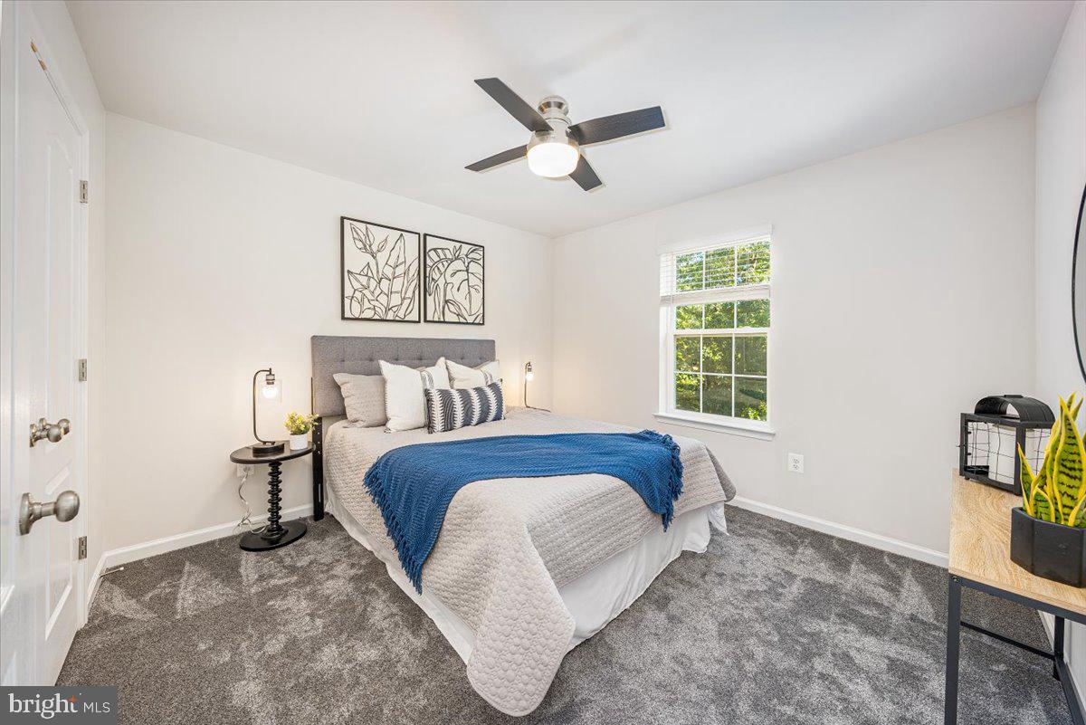 DORCHESTER VIEW - Residential