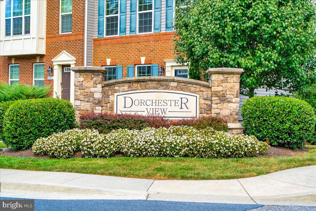 DORCHESTER VIEW - Residential