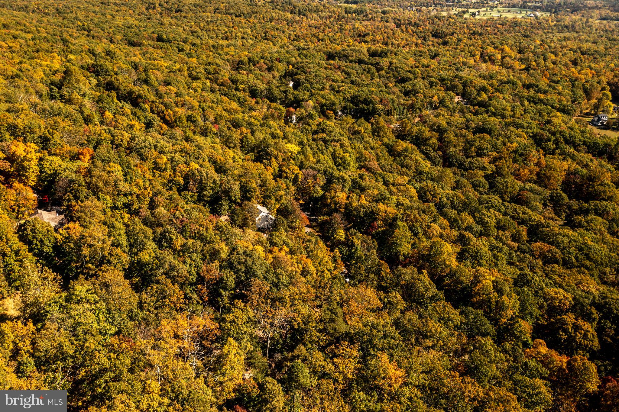 BULL RUN MOUNTAIN - Residential