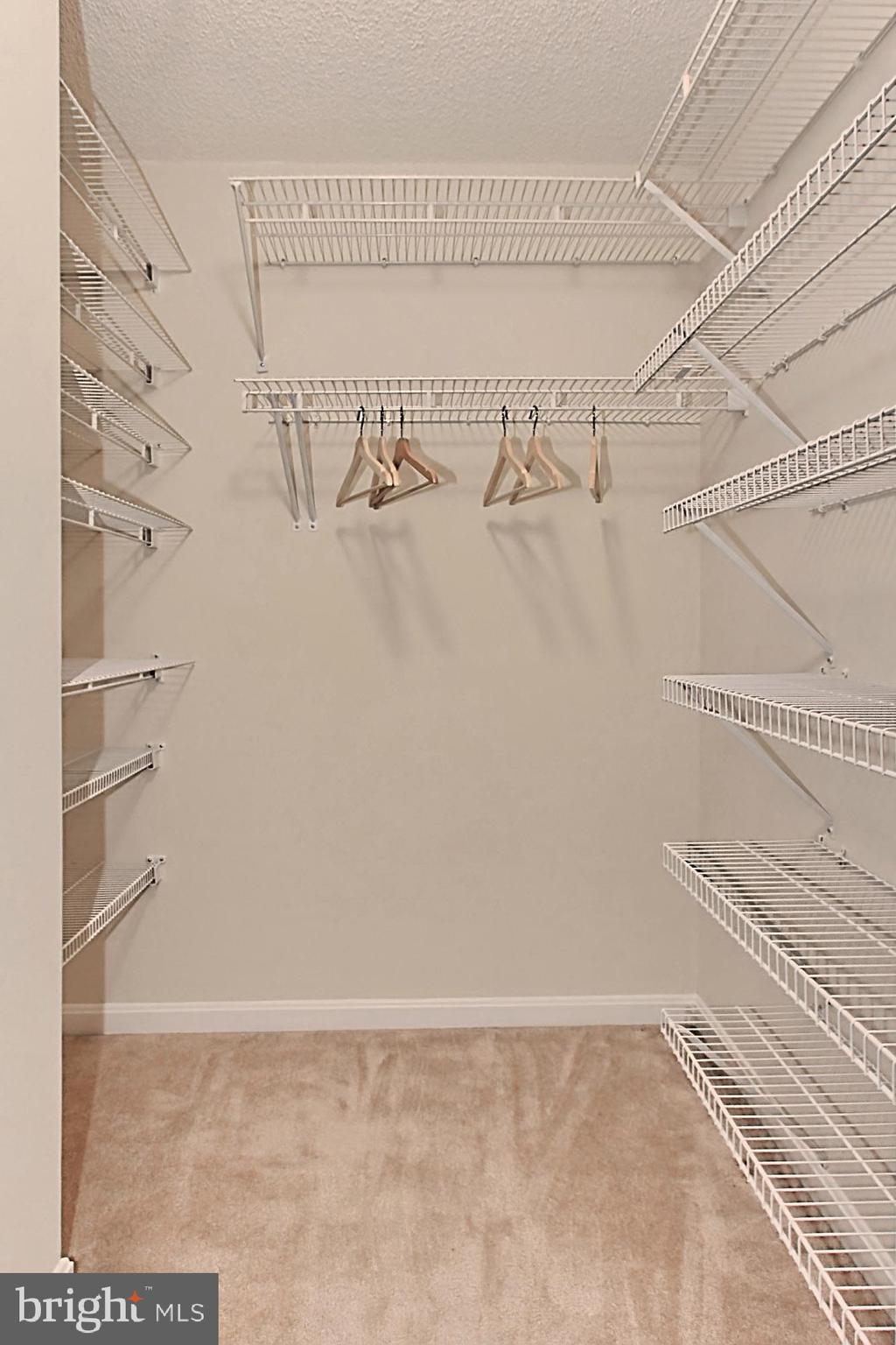 CARLYLE TOWERS - Residential