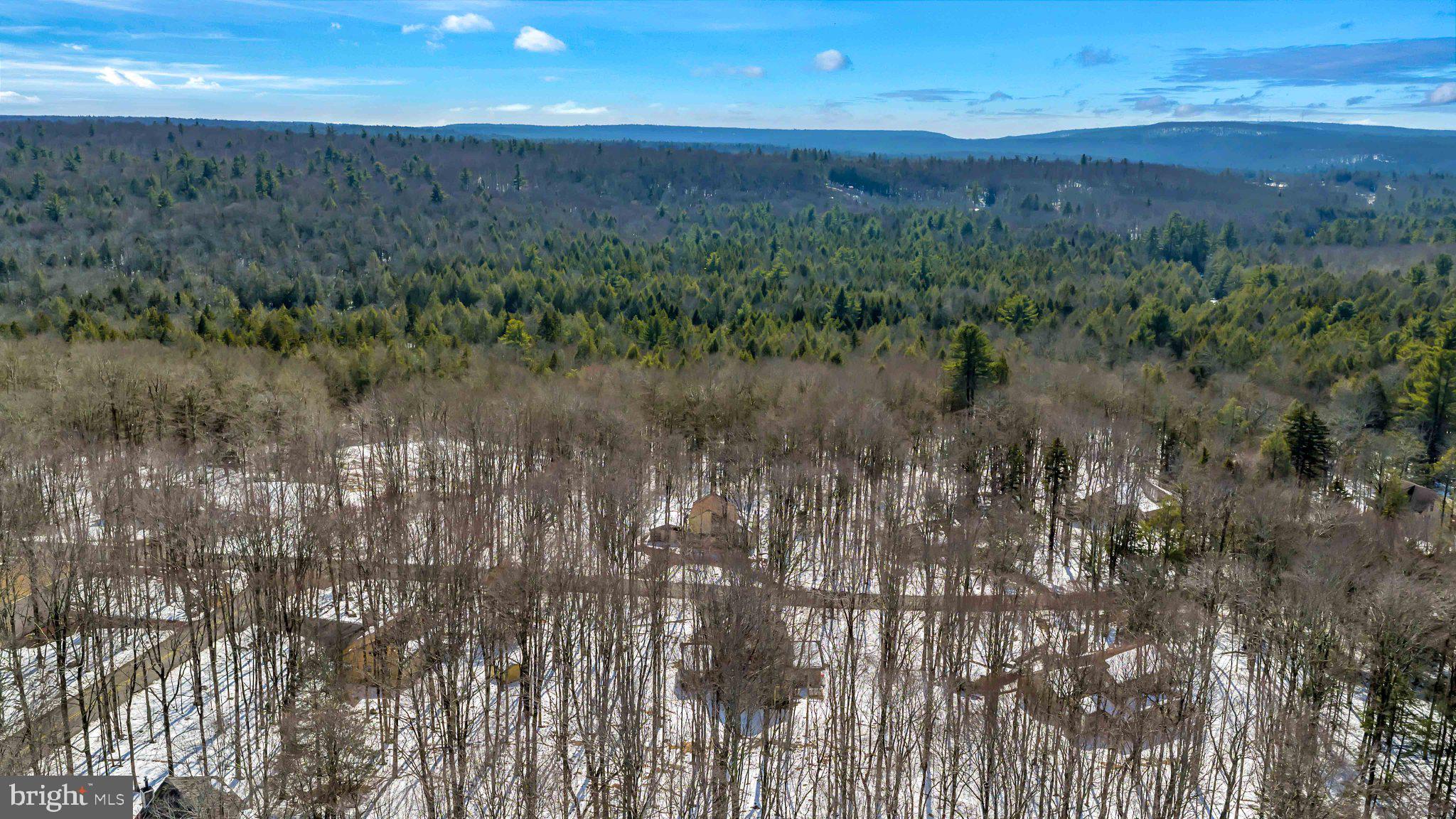 CAMELOT FOREST CONSRV ASSOC - Residential