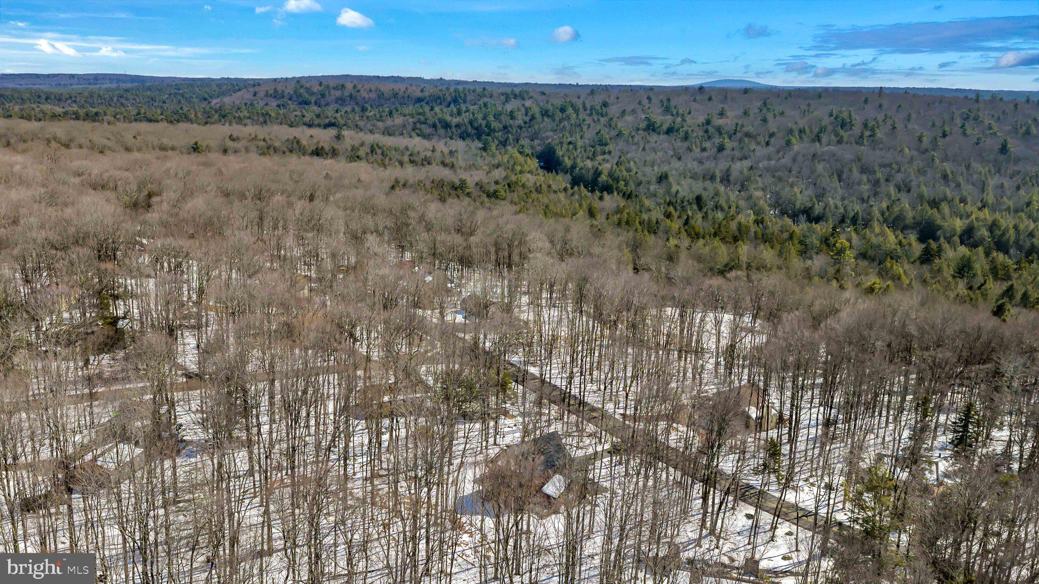 CAMELOT FOREST CONSRV ASSOC - Residential