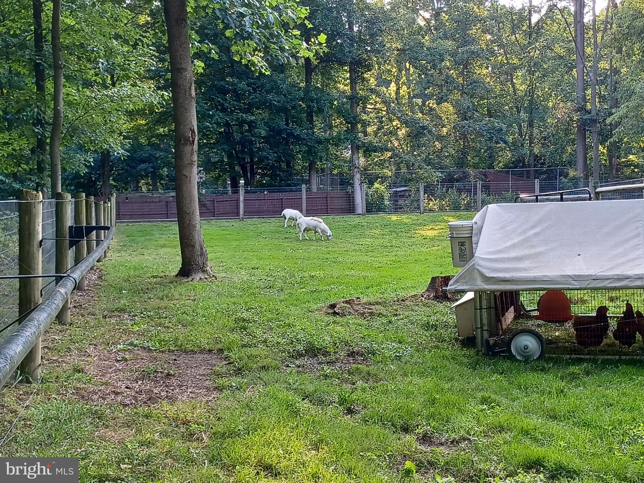 SALISBURY TWP - Residential