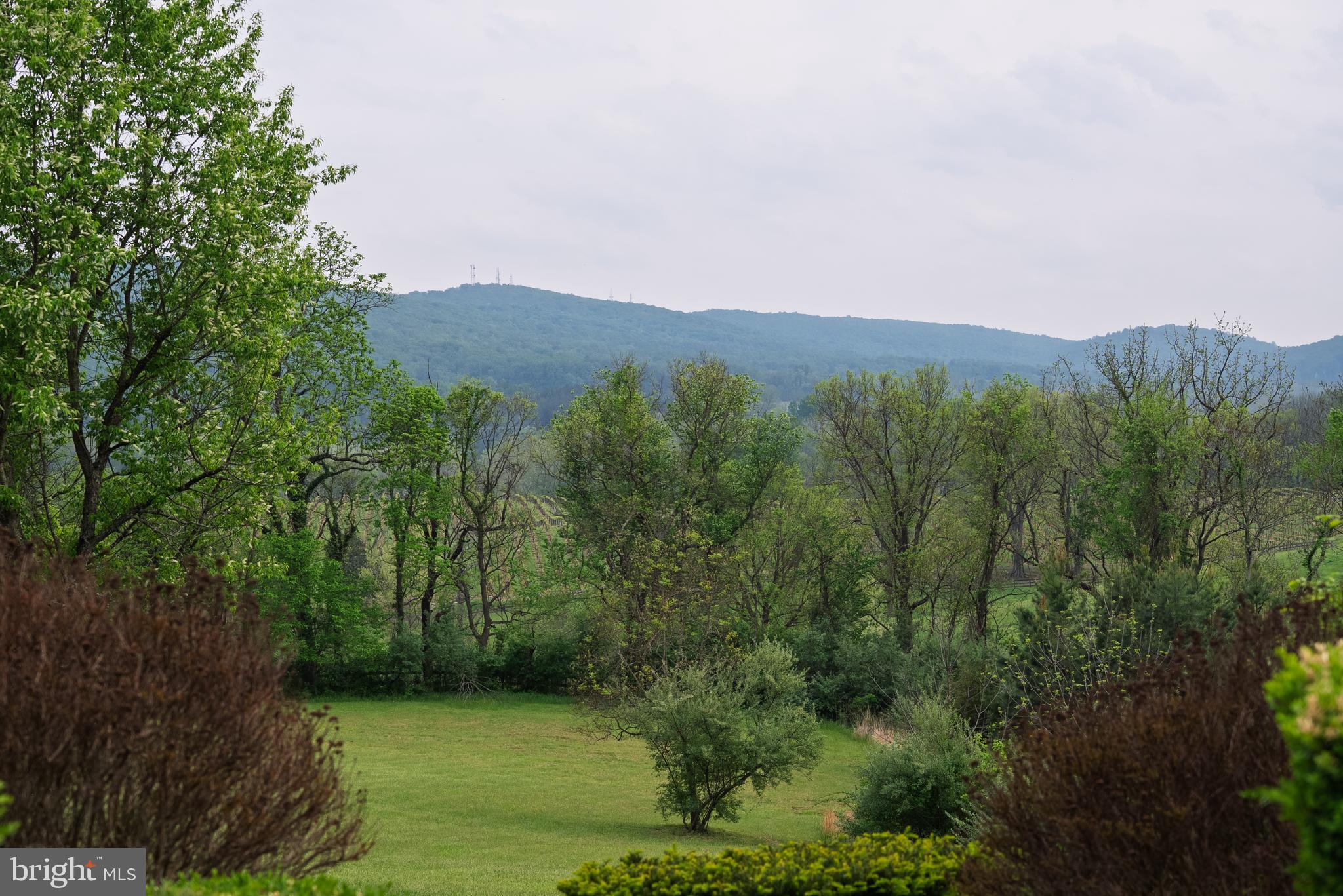 JAHNKE & DICKSON - Residential