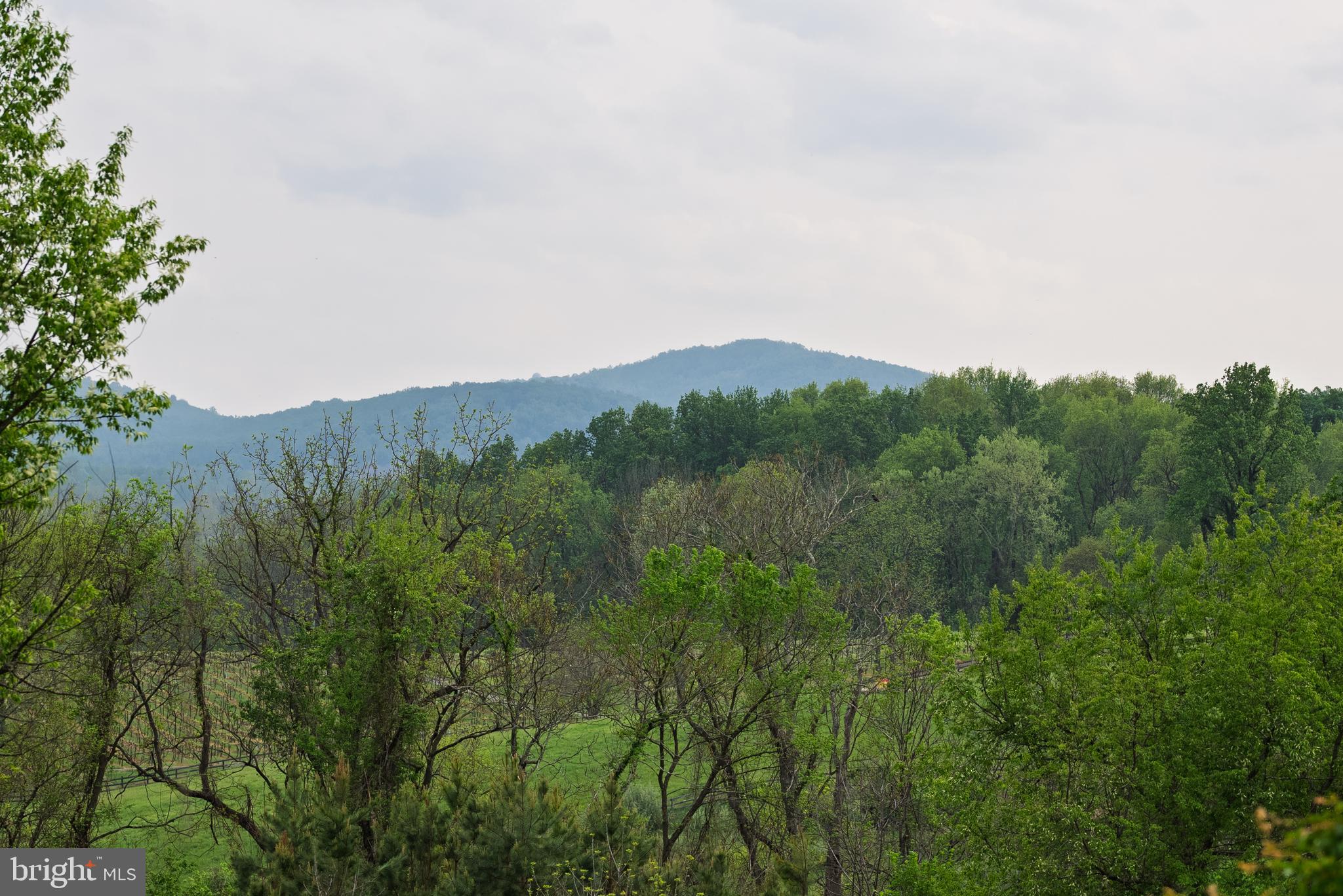 JAHNKE & DICKSON - Residential