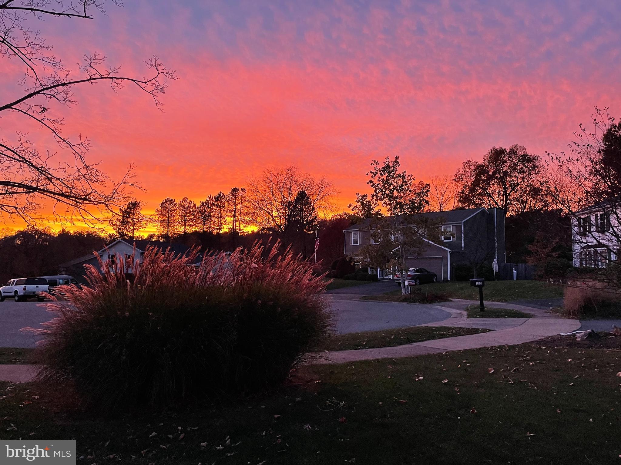 PARK FOREST VILLAGE - Residential